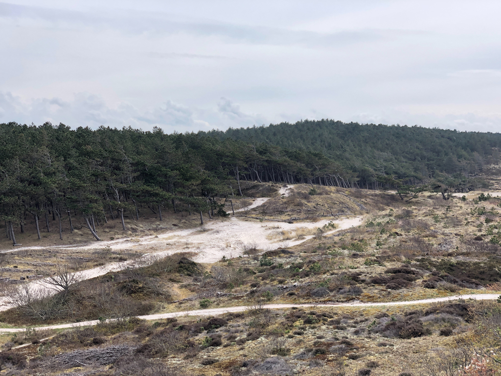 Delete, remove, verwijder...